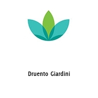 Logo Druento Giardini