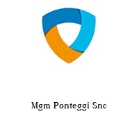 Mgm Ponteggi Snc