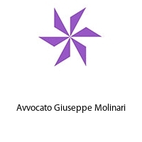 Logo Avvocato Giuseppe Molinari