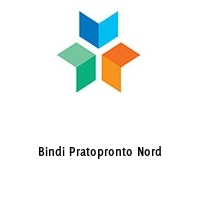 Logo Bindi Pratopronto Nord