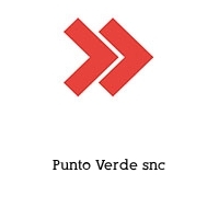 Logo Punto Verde snc