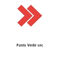 Punto Verde snc