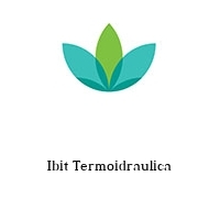 Logo Ibit Termoidraulica