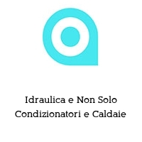 Logo Idraulica e Non Solo Condizionatori e Caldaie