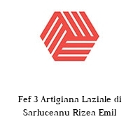 Logo Fef 3 Artigiana Laziale di Sarluceanu Rizea Emil