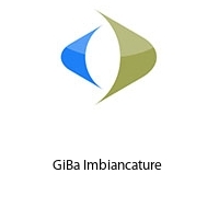 Logo GiBa Imbiancature 