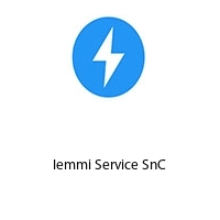 Logo Iemmi Service SnC
