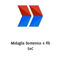 Logo Midaglia Domenico e Flli SnC