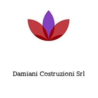 Logo Damiani Costruzioni Srl