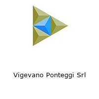 Logo Vigevano Ponteggi Srl