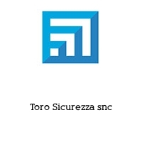 Logo Toro Sicurezza snc