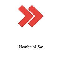 Logo Nembrini Sas