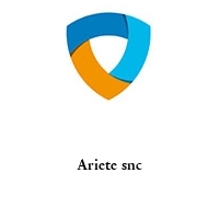 Logo Ariete snc