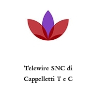 Logo Telewire SNC di Cappelletti T e C
