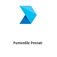 Logo Puntoedile Pennati 