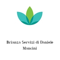 Logo Brianza Servizi di Daniele Mancini