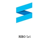 Logo RIBO Srl