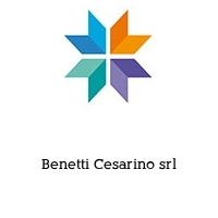 Logo Benetti Cesarino srl