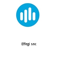 Logo Effegi snc