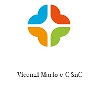 Logo Vicenzi Mario e C SnC