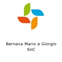 Logo Bernava Mario e Giorgio SnC