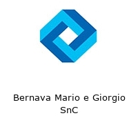 Logo Bernava Mario e Giorgio SnC