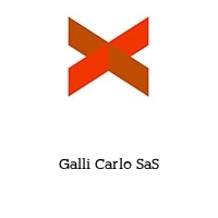 Logo Galli Carlo SaS