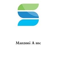Logo Manzoni A snc