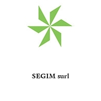 Logo SEGIM surl