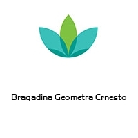 Logo Bragadina Geometra Ernesto 