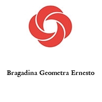 Logo Bragadina Geometra Ernesto 