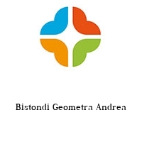 Bistondi Geometra Andrea