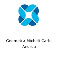 Geometra Micheli Carlo Andrea