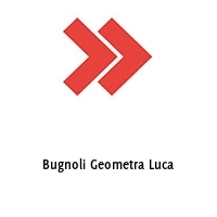 Logo Bugnoli Geometra Luca