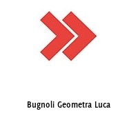 Logo Bugnoli Geometra Luca