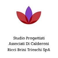 Logo Studio Progettisti Associati Di Calderoni Ricci Brini Trioschi SpA