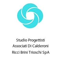 Studio Progettisti Associati Di Calderoni Ricci Brini Trioschi SpA