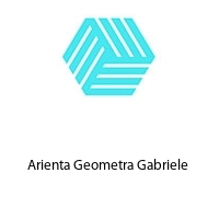Logo Arienta Geometra Gabriele 