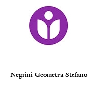 Logo Negrini Geometra Stefano