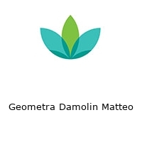 Logo Geometra Damolin Matteo