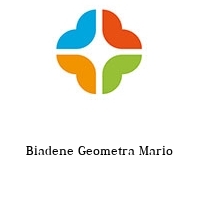 Logo Biadene Geometra Mario