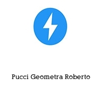 Logo Pucci Geometra Roberto
