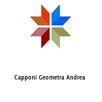 Logo Capponi Geometra Andrea 