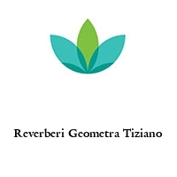 Logo Reverberi Geometra Tiziano