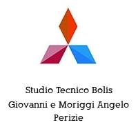 Logo Studio Tecnico Bolis Giovanni e Moriggi Angelo Perizie