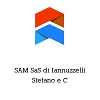 Logo SAM SaS di Iannuzzelli Stefano e C