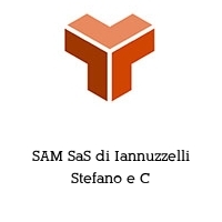 Logo SAM SaS di Iannuzzelli Stefano e C