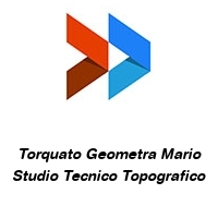 Logo Torquato Geometra Mario Studio Tecnico Topografico