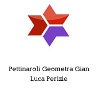 Pettinaroli Geometra Gian Luca Perizie