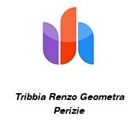Logo Tribbia Renzo Geometra Perizie